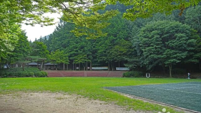 충북 봉학골산림욕장 축제, 자연 속 힐링 여행지