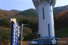 영천 가볼만한곳 BEST 5 (2026년 여름 여행 완벽 가이드)