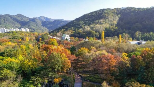 대구두류공원, 대구에서 자연 즐기는 여름 여행지