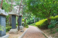 서울 경희궁공원 축제, 여름에 즐기는 역사와 자연의 조화