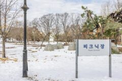 서울 올림픽공원피크닉장, 도심 속 자연 체험의 명소