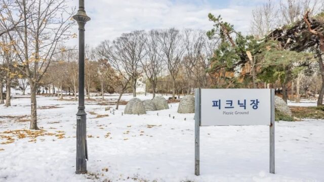 서울 올림픽공원피크닉장, 도심 속 자연 체험의 명소
