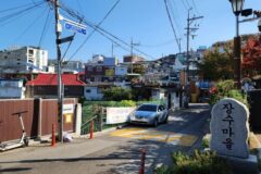 “도심에서 불과 몇 킬로미터라고?”… 자연 속에 있는 듯한 착각을 불러일으키는 장수마을 여행지