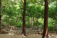 서울 월드컵공원 유아숲체험원, 가족과 자연 모험 체험