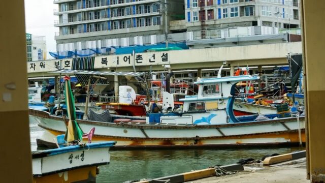 강원 사천진항 축제, 여름 바다와 함께하는 즐거운 시간