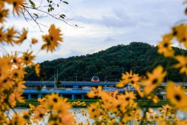 2026 순천시 여행지, 여름에 즐기는 베스트 코스 추천 5곳