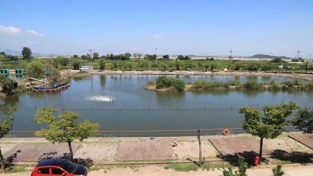 “인천공항에서 15km 거리에 이런 곳이?”… 반려동물과 함께하는 5,000㎡ 자연 여행지