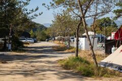 “10,000㎡도 이렇게 평온할 줄이야?”… 양주 리온 캠핑장 명소