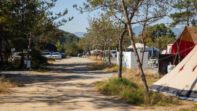 “10,000㎡도 이렇게 평온할 줄이야?”… 양주 리온 캠핑장 명소