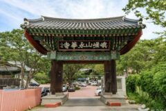 “서울 중심에서 7km라니, 이렇게 고요할 수 있다고?”… 5,000㎡ 숲속 영화 상영 명소