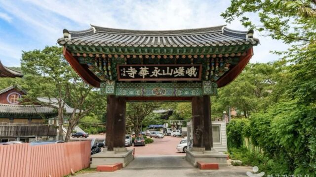 “서울 중심에서 7km라니, 이렇게 고요할 수 있다고?”… 5,000㎡ 숲속 영화 상영 명소