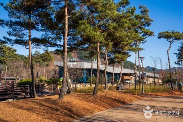 예천 펜션 추천 2026 여름, 특별한 휴가를 위한 숙소 5