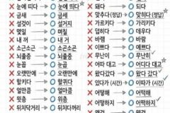 자주 틀리는 맞춤법 OX 정리