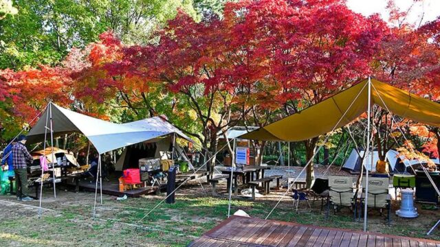 전남 월출산국립공원 천황야영장, 여름 축제와 캠핑 체험
