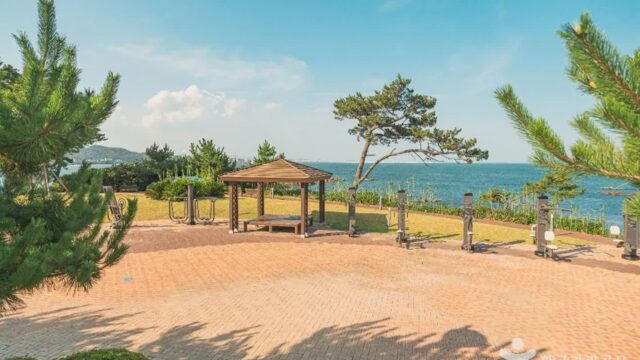 울산 솔개공원, 가족과 즐기는 자연 힐링 산책