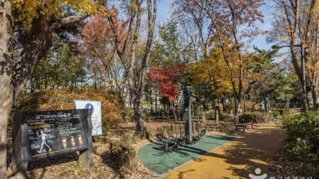 “서울 도심에 이런 곳이 있었나요?”… 2만㎡ 규모의 성촌공원