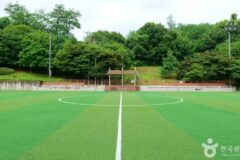 서울 증산체육공원 축제, 도심 속 자연과 문화의 어울림