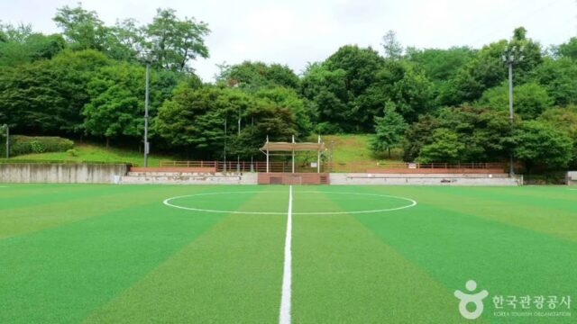 서울 증산체육공원 축제, 도심 속 자연과 문화의 어울림