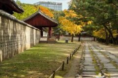 “도심 속에 이런 공간이?”… 서울 한복판에서 만나는 유네스코 세계유산 여행지