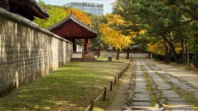 “도심 속에 이런 공간이?”… 서울 한복판에서 만나는 유네스코 세계유산 여행지
