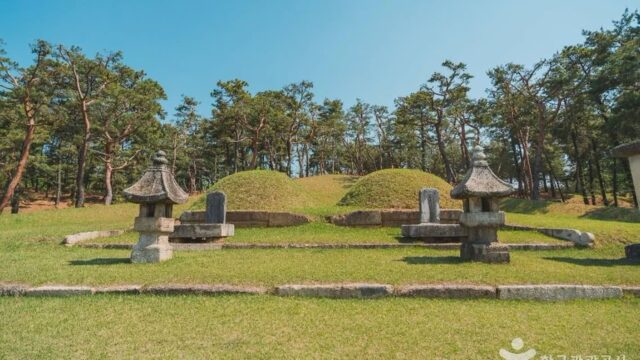 “서울 한복판에 이런 곳이?”… 강남 속 고요한 역사 산책 명소