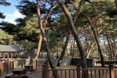 서울 솔밭근린공원, 도심 속 자연 쉼터 산책 추천