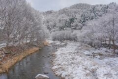 경기 명달리계곡 축제, 여름 자연 속 시원한 즐거움