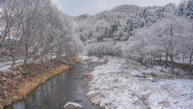 경기 명달리계곡 축제, 여름 자연 속 시원한 즐거움