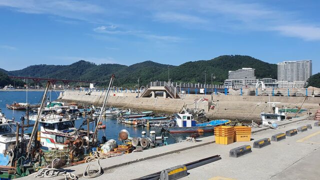 전남 궁농항 축제, 여름 남해의 풍경과 함께하다