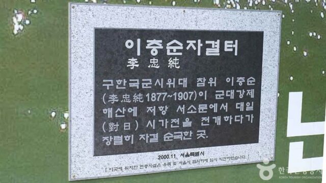 “서울 한복판에서 이런 고요가?”… 복잡한 도심 속 88번지 명소