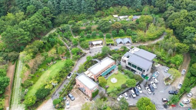 “3,000㎡에 제주 감성이 그대로 다니!”… 대전의 특별한 캠핑 명소