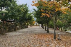 “서울에서 2시간 30분 거리라니?”… 강원도 인제 자연 속 평화로운 캠핑 명소
