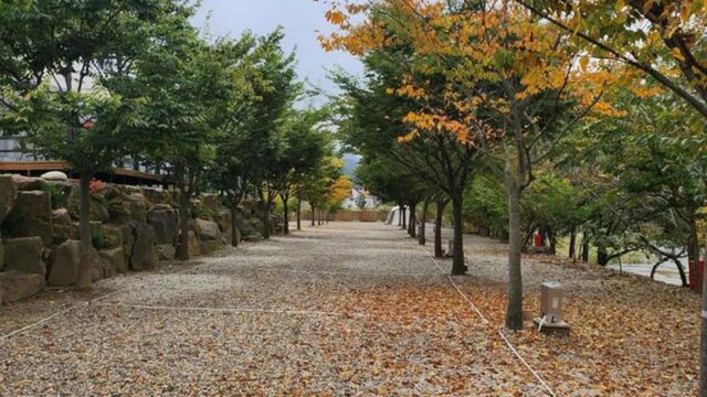 “서울에서 2시간 30분 거리라니?”… 강원도 인제 자연 속 평화로운 캠핑 명소