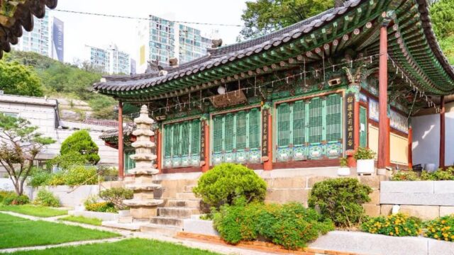 “서울 중심에서 이런 고요함은 처음이에요”… 소나무 길 따라 만나는 미타사 명소
