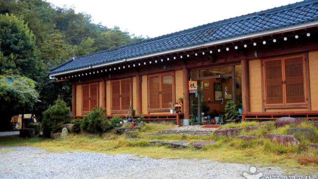 전남 장성 산골짜기 맛집, 자연 속에서 즐기는 미식 여행
