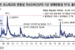 “‘삼전닉스’ 레버리지에 코스피 ‘출렁’…금융위기 때보다 변동성 크다”