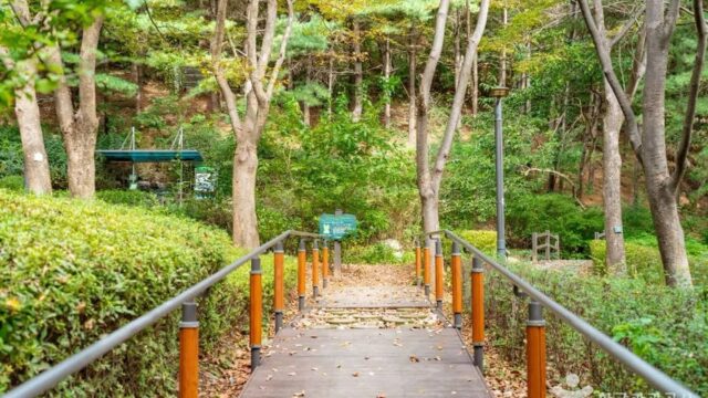 서울 계남근린공원 카페, 자연 속 힐링 산책 어때요?