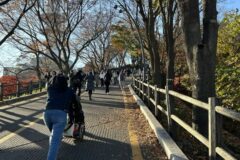 “단풍 물든 7.5km 길이 이렇게 아름다울 줄이야”… 서울 중심에서 만나는 자연 코스