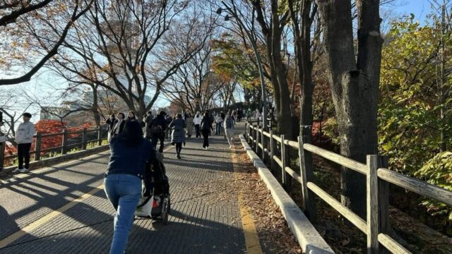 “단풍 물든 7.5km 길이 이렇게 아름다울 줄이야”… 서울 중심에서 만나는 자연 코스