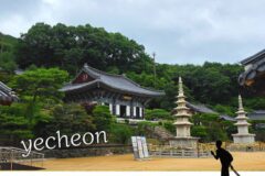 국내 사찰 여행 추천｜예천 가볼만한 곳 용문사 국보 윤장대와 성보박물관에서 만난 천년의 역사