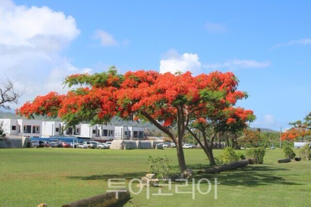 여름휴가철 앞두고 ‘사이판’ 다시 열린다…제주항공, 20일 운항 재개