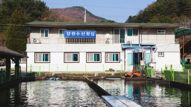 강원 평창 강원수산횟집, 신선한 해산물 맛집 방문기
