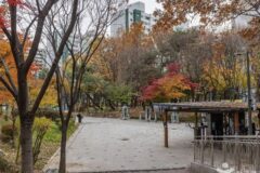 서울 독산 근린공원 체험, 자연 속 산책로와 방문 팁