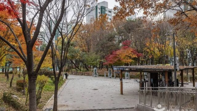 서울 독산 근린공원 체험, 자연 속 산책로와 방문 팁