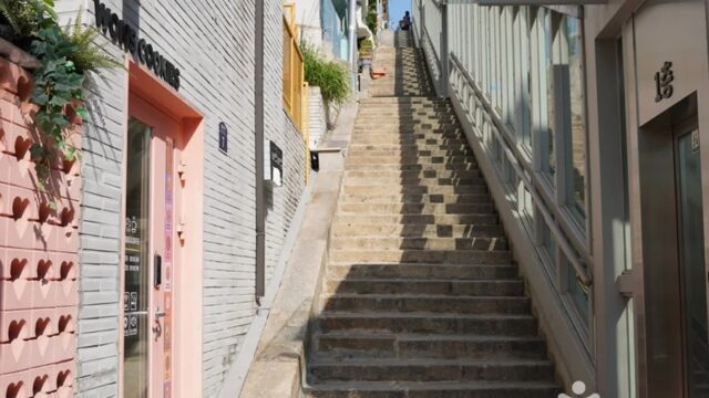 “도심에서 이렇게 조용한 곳이?”… 108개 계단 따라 오르는 30m 높이의 명소