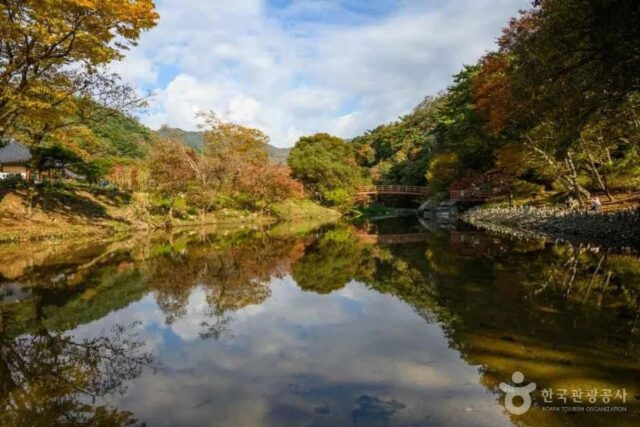 제주시내 사찰 추천 5곳, 고즈넉한 여름 힐링 명소