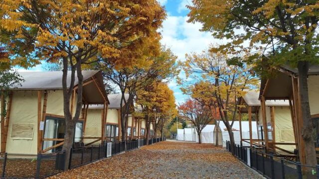 “10,000㎡의 자연 속에서 힐링이 이렇게 가능하다고?”… 공기 맑은 경기도의 캠핑 명소
