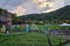 경기 산들소리 축제, 자연과 문화가 어우러진 남양주 명소