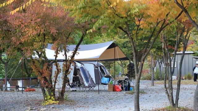강원 아빠가 만든 캠핑장 축제, 여름 자연 체험의 매력