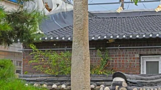 전북 부안 남문안당산, 자연과 전통의 조화로운 여행